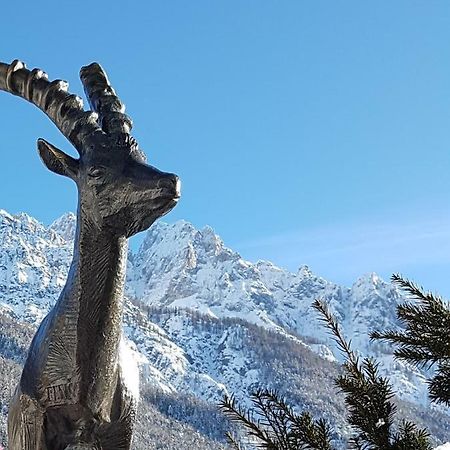Nigritella Kranjska Gora Exterior foto