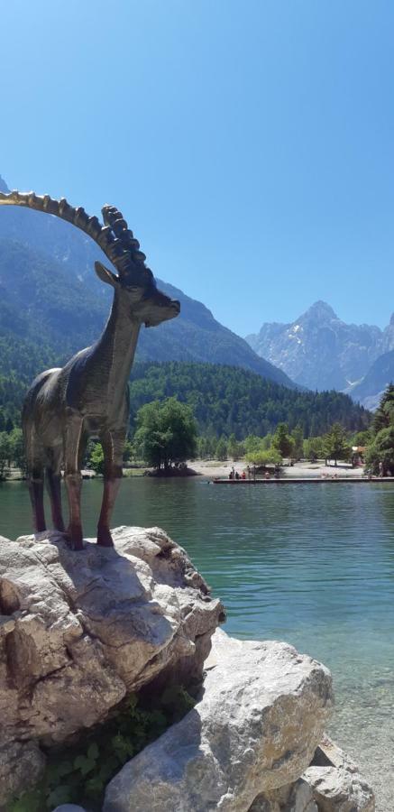 Nigritella Kranjska Gora Exterior foto