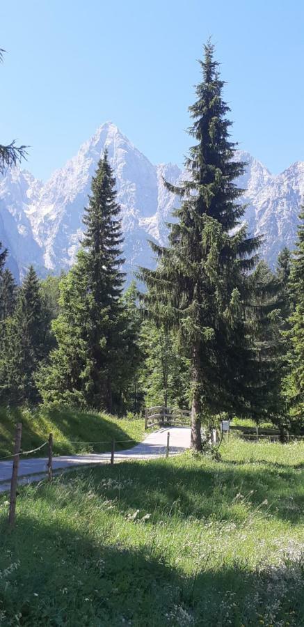 Nigritella Kranjska Gora Exterior foto